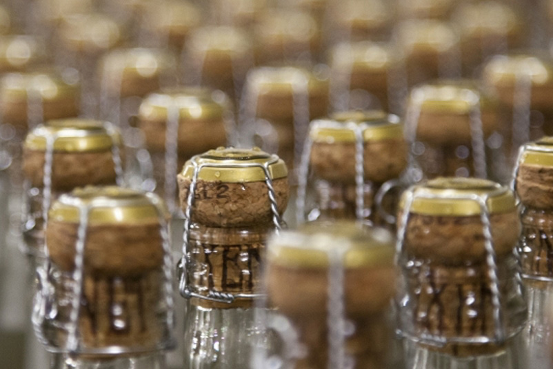 calidad-y-seguridad-alimentaria